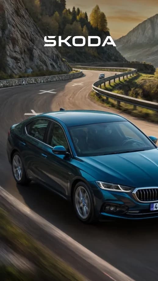 <p>Award-winning websites for Škoda Auto and their official car dealers.&nbsp;</p>