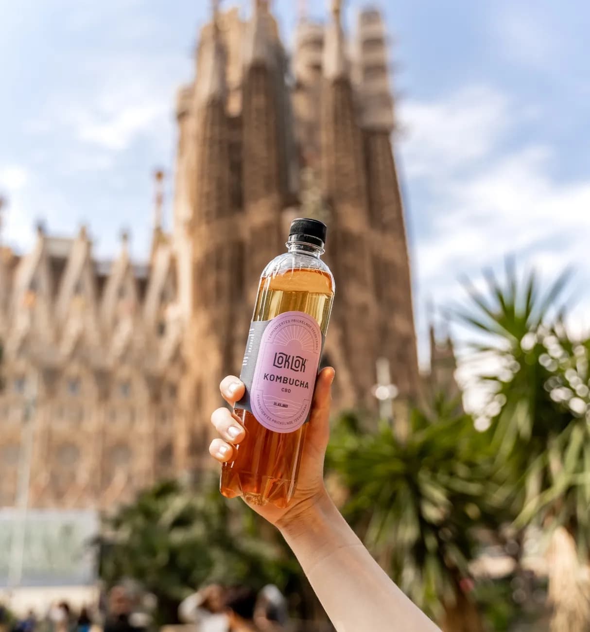 Branding
& strategy for
rising kombucha
brand