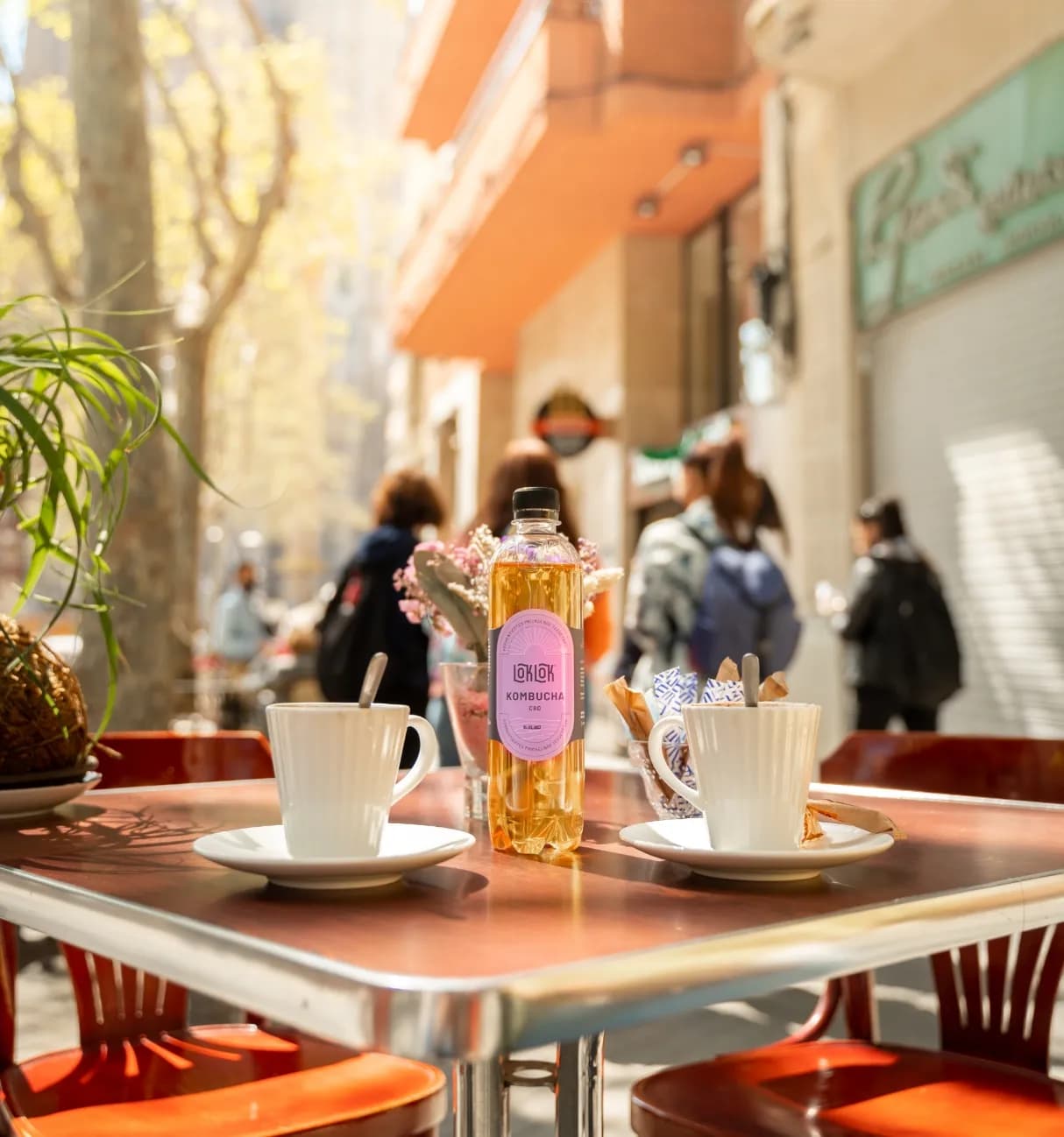 Branding
& strategy for
rising kombucha
brand