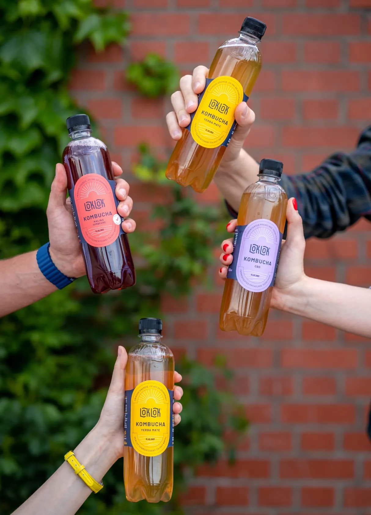 Branding
& strategy for
rising kombucha
brand