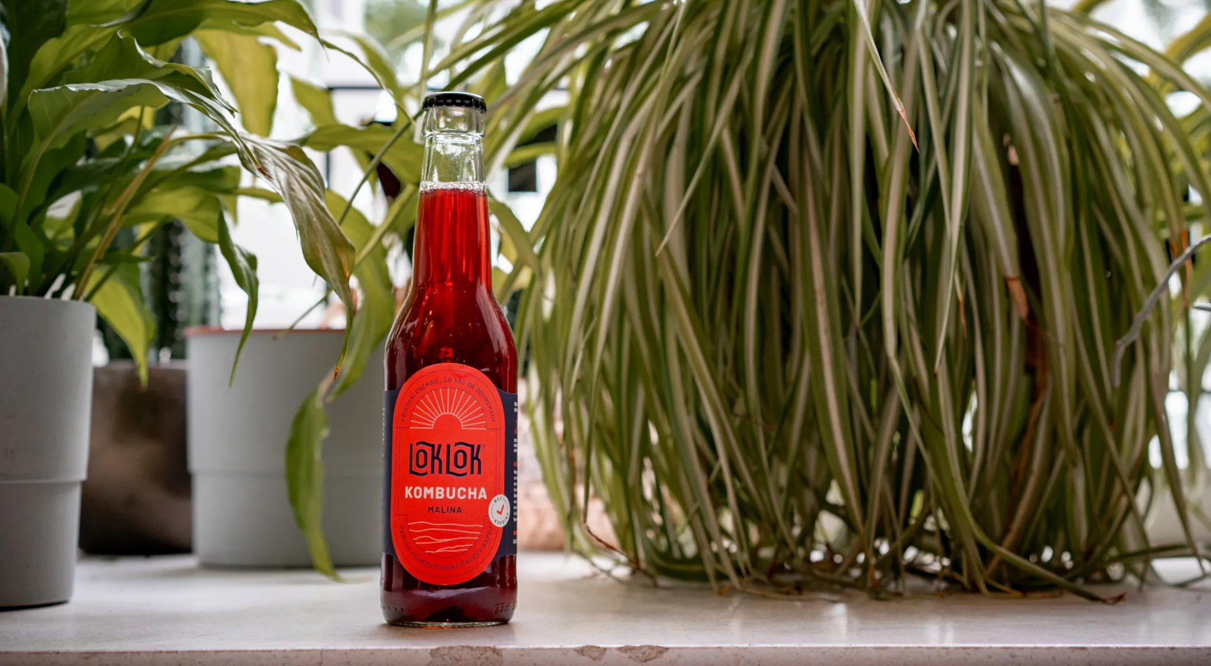 Branding
& strategy for
rising kombucha
brand